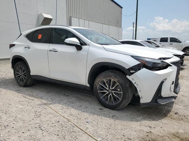 2024 Lexus NX 250 Premium