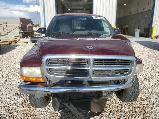 2000 Dodge Dakota