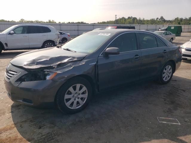 2009 Toyota Camry Hybrid