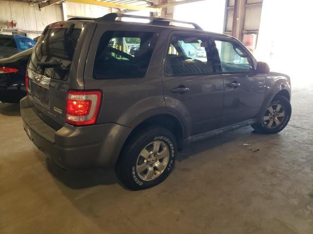 2010 Ford Escape Limited