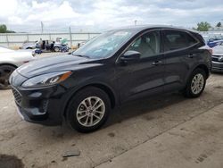 Ford salvage cars for sale: 2020 Ford Escape SE