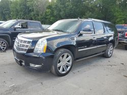 Cadillac salvage cars for sale: 2011 Cadillac Escalade ESV Platinum