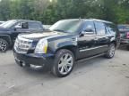 2011 Cadillac Escalade ESV Platinum