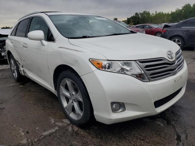 2009 Toyota Venza