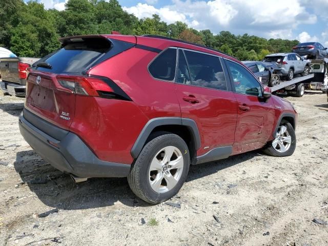 2019 Toyota Rav4 XLE