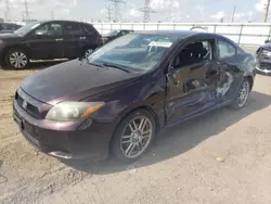 Salvage cars for sale at Elgin, IL auction: 2009 Scion TC