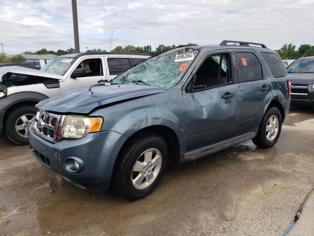 2012 Ford Escape XLT