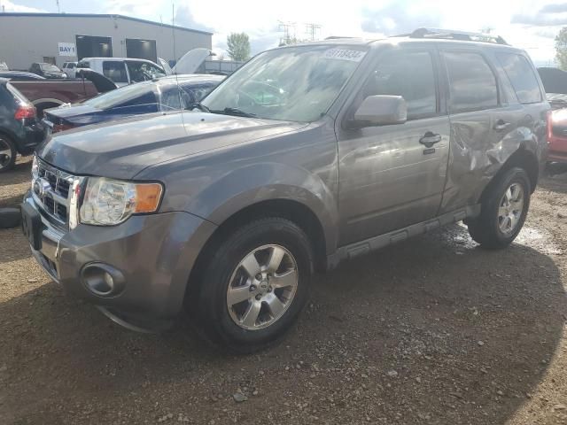 2010 Ford Escape Limited