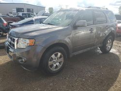 Salvage cars for sale at Elgin, IL auction: 2010 Ford Escape Limited