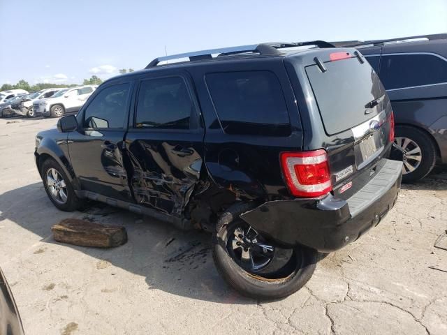 2010 Ford Escape Limited