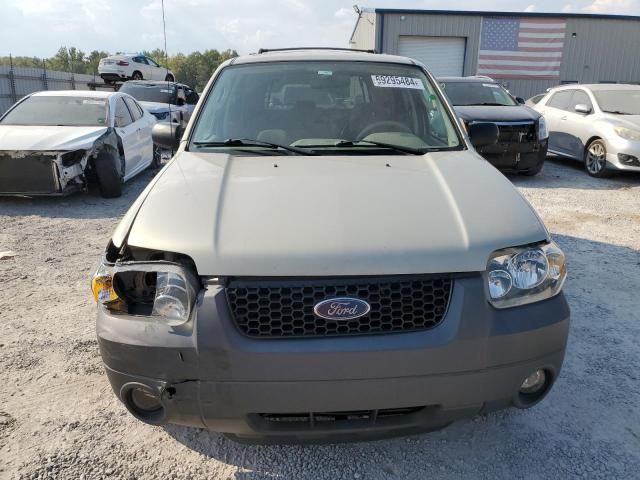 2005 Ford Escape XLT