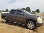 2007 Chevrolet Silverado C1500 Crew Cab