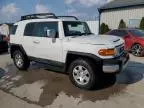 2010 Toyota FJ Cruiser