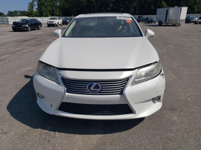 2013 Lexus ES 300H