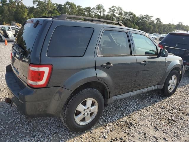 2009 Ford Escape XLT