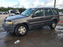 Ford salvage cars for sale: 2006 Ford Escape XLS