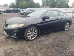 Salvage cars for sale from Copart Finksburg, MD: 2014 Honda Accord EXL