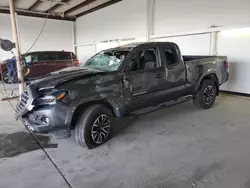 Salvage cars for sale at Anthony, TX auction: 2023 Toyota Tacoma Access Cab