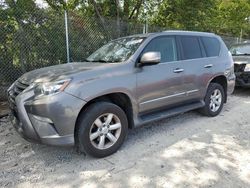 Lexus salvage cars for sale: 2014 Lexus GX 460