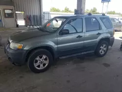 Ford salvage cars for sale: 2006 Ford Escape XLT