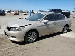 Honda salvage cars for sale: 2013 Honda Accord EXL