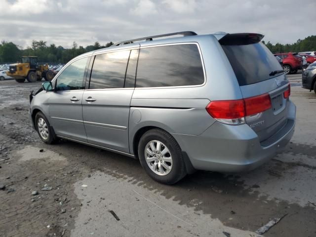 2010 Honda Odyssey EXL