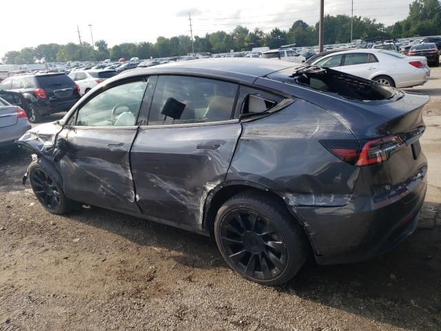 2020 Tesla Model Y