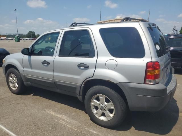 2007 Ford Escape XLT