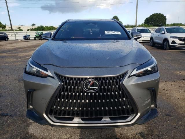 2024 Lexus NX 250 Base