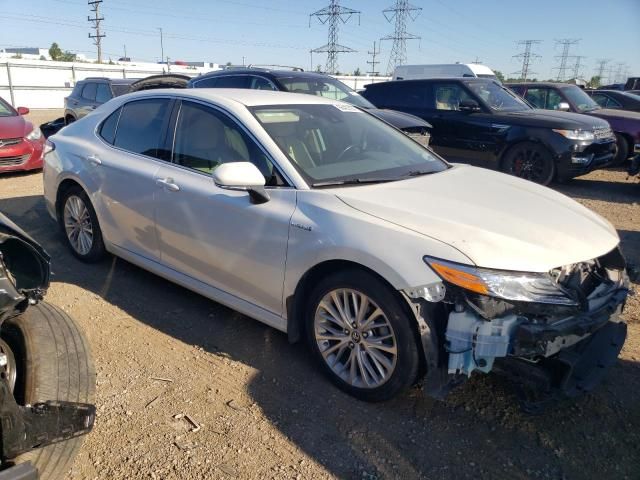 2019 Toyota Camry Hybrid