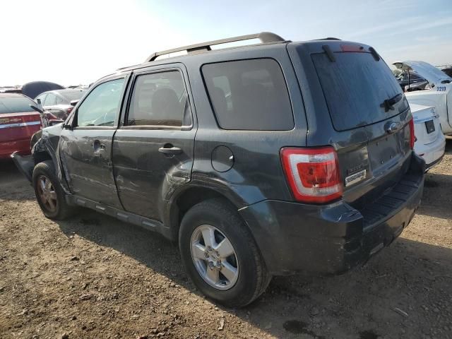 2009 Ford Escape XLT