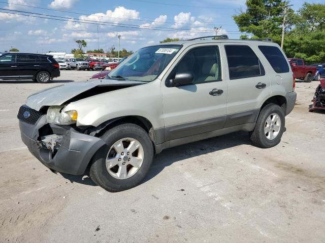 2005 Ford Escape XLT