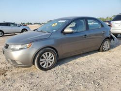 Vehiculos salvage en venta de Copart Houston, TX: 2010 KIA Forte EX