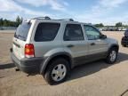 2004 Ford Escape XLT