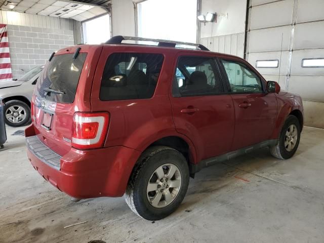 2010 Ford Escape Limited