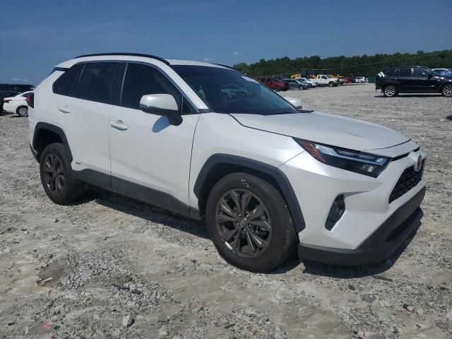 2023 Toyota Rav4 XLE Premium