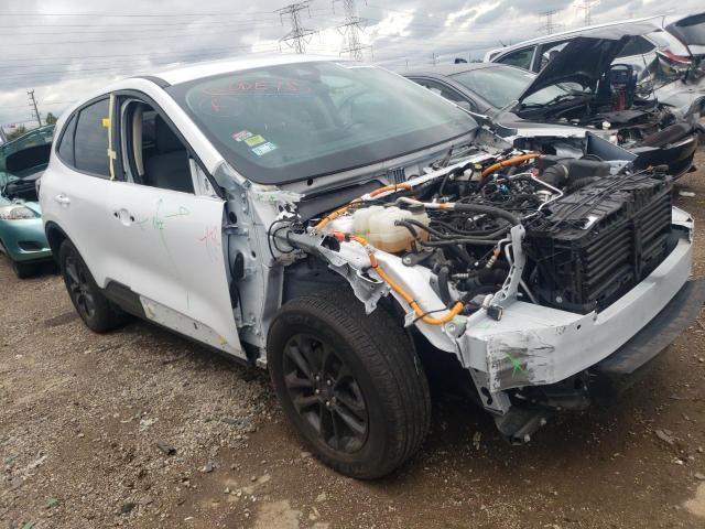 2020 Ford Escape SE Sport