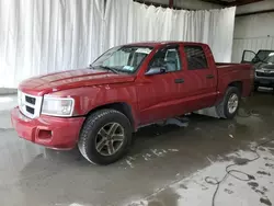 Dodge salvage cars for sale: 2010 Dodge Dakota SXT