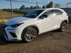 2021 Lexus NX 300 Base en venta en Houston, TX