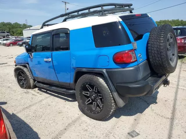 2007 Toyota FJ Cruiser