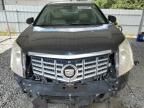 2013 Cadillac SRX Premium Collection