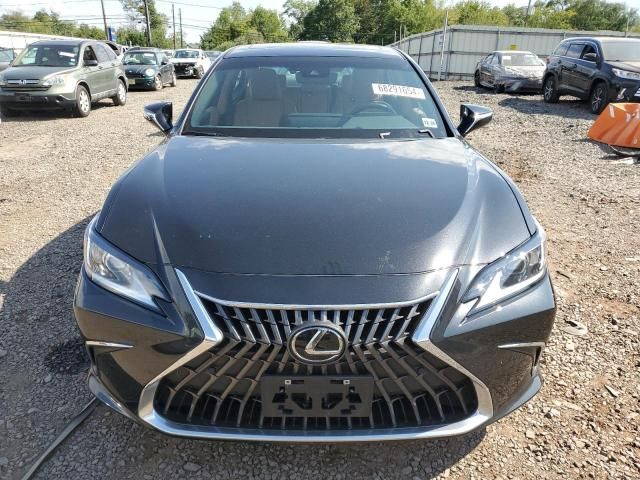 2024 Lexus ES 250 Base