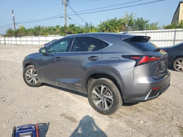 2020 Lexus NX 300H