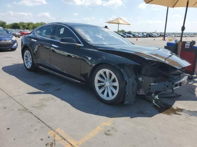 2019 Tesla Model S