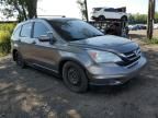 2011 Honda CR-V EXL