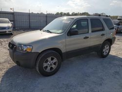 2005 Ford Escape XLT en venta en Louisville, KY