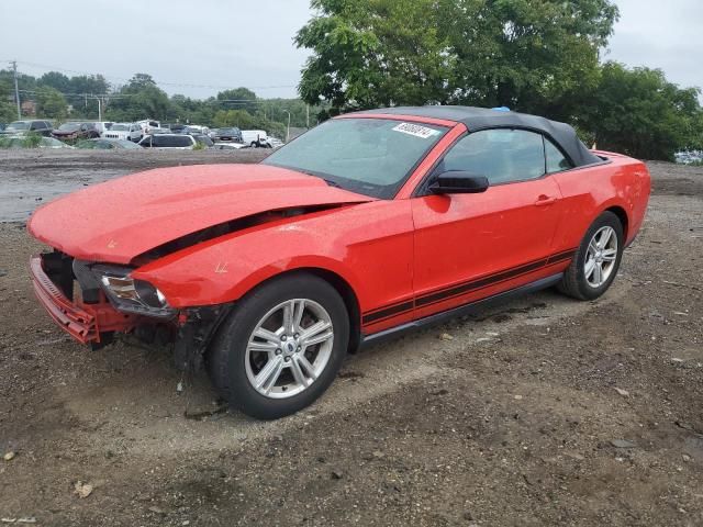 2011 Ford Mustang