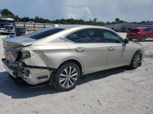 2020 Lexus ES 300H