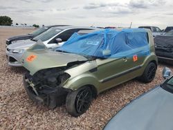 Salvage cars for sale at Rapid City, SD auction: 2013 KIA Soul +