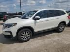 2019 Honda Pilot EXL